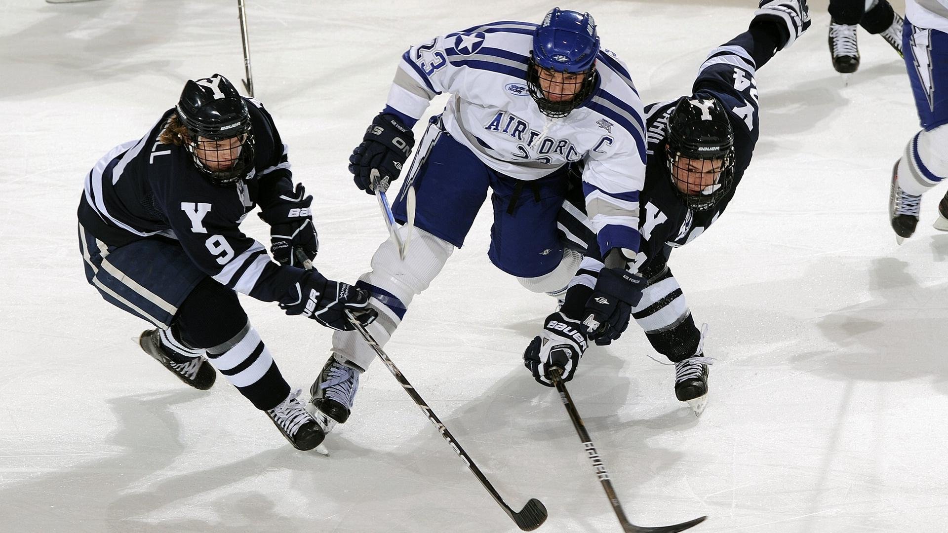 独行侠成立“家庭球迷委员会”，优化亲子观赛体验